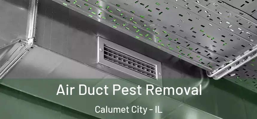 Air Duct Pest Removal Calumet City - IL