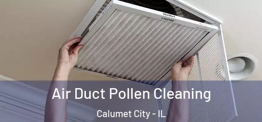 Air Duct Pollen Cleaning Calumet City - IL