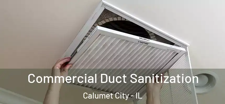  Commercial Duct Sanitization Calumet City - IL