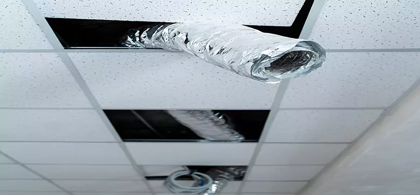 Affordable HVAC Sanitizing After Pest Removal in Calumet City