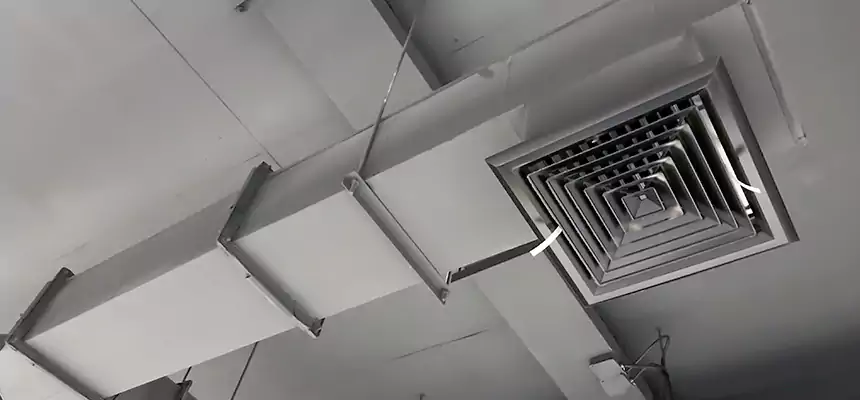 Our Rodent Droppings In Vents Services in Calumet City, IL