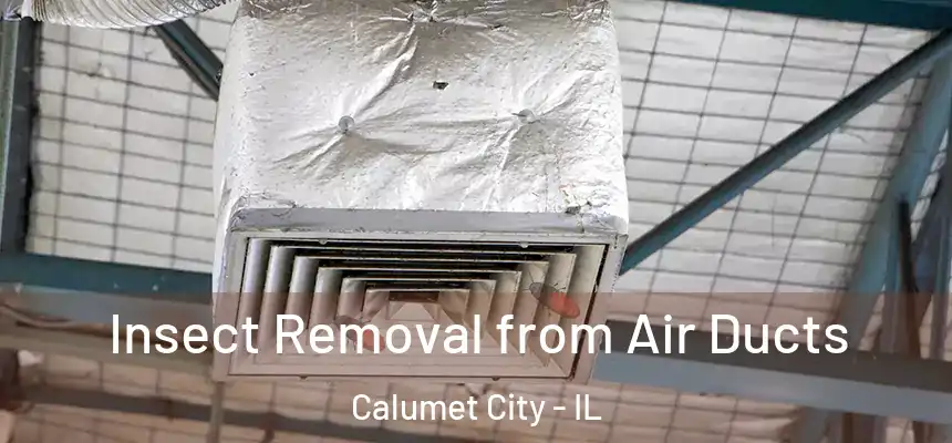  Insect Removal from Air Ducts Calumet City - IL