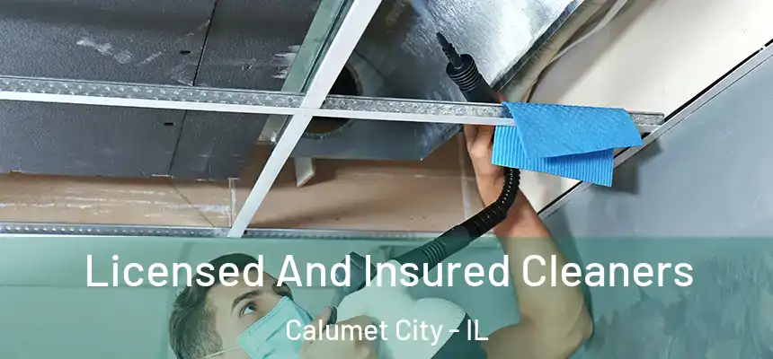 Licensed And Insured Cleaners Calumet City - IL