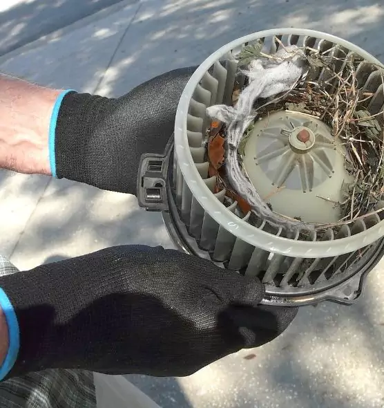 About Air Duct Rat Removal in Calumet City, IL