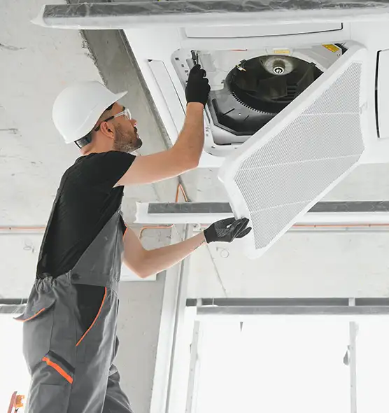 About Air Duct Rodent Removal in Calumet City, IL