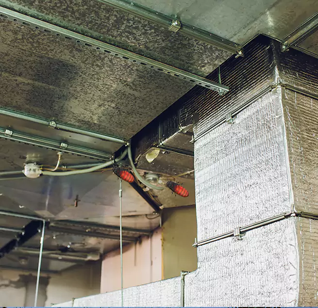 Why Homeowners & Businesses Trust Us in Calumet City, IL?