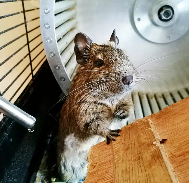 Why Homeowners & Businesses Trust Us Calumet City, IL